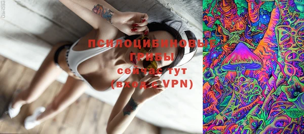 спайс Абаза